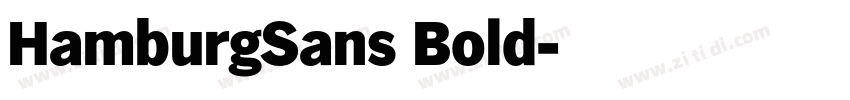 HamburgSans Bold字体转换
